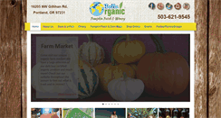 Desktop Screenshot of bellaorganic.com